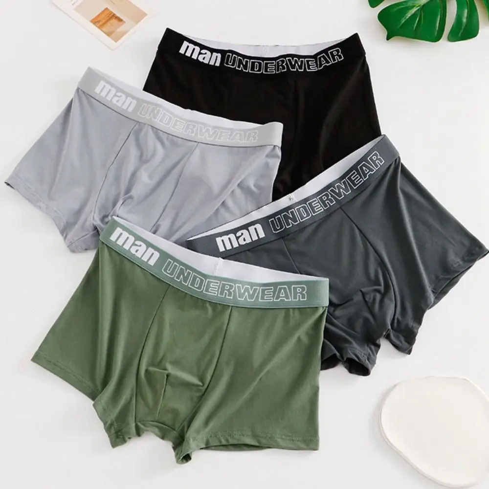 

4Pcs Fashion Plus Size Men's Boxer Briefs Seamless Lingerie Shorts Underpants Mid Waist Letter Panties Gifts