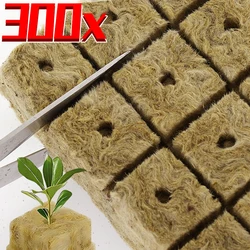 50/300 pz Stonewool Hydroponic Grow Media Cubes Plant Cubes Soilless substrato seminato lana di roccia Plug Seedling Block attrezzi da giardino