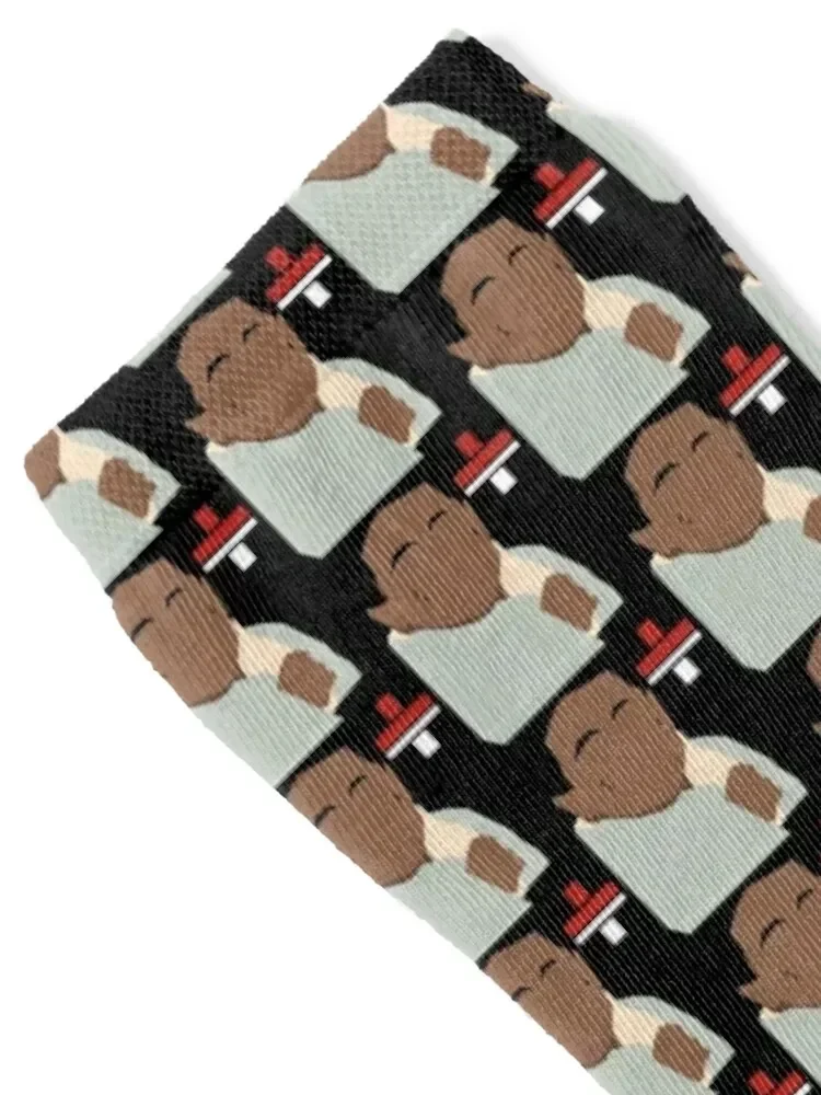 tha carter iii minimal album cover Socks funny gift sports stockings Men Socks Women's