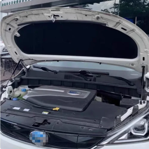 

1 Set Gas Struts for Trumpchi GE3 2017-2020 Front Hood Bonnet Lift Support Damper Shock Absorber Prop Rods