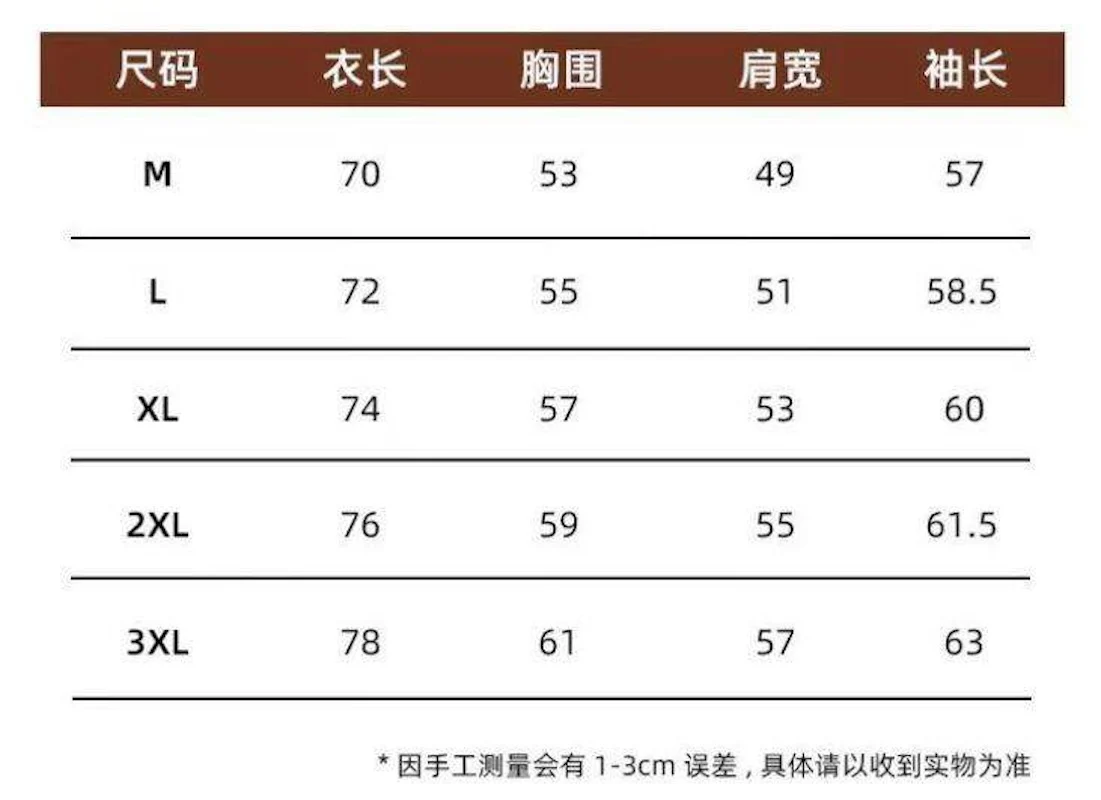Simple embroidered striped shirt women's new spring design sense chic long-sleeved top coat