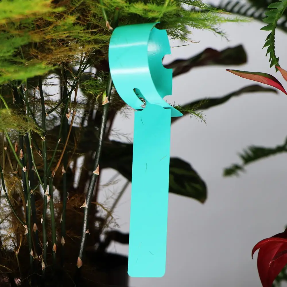 50-100PCS Garden Adjustable Buckle Plant Tag Potted Classification Hang Label Plastic Identification Card Reusable Waterproof