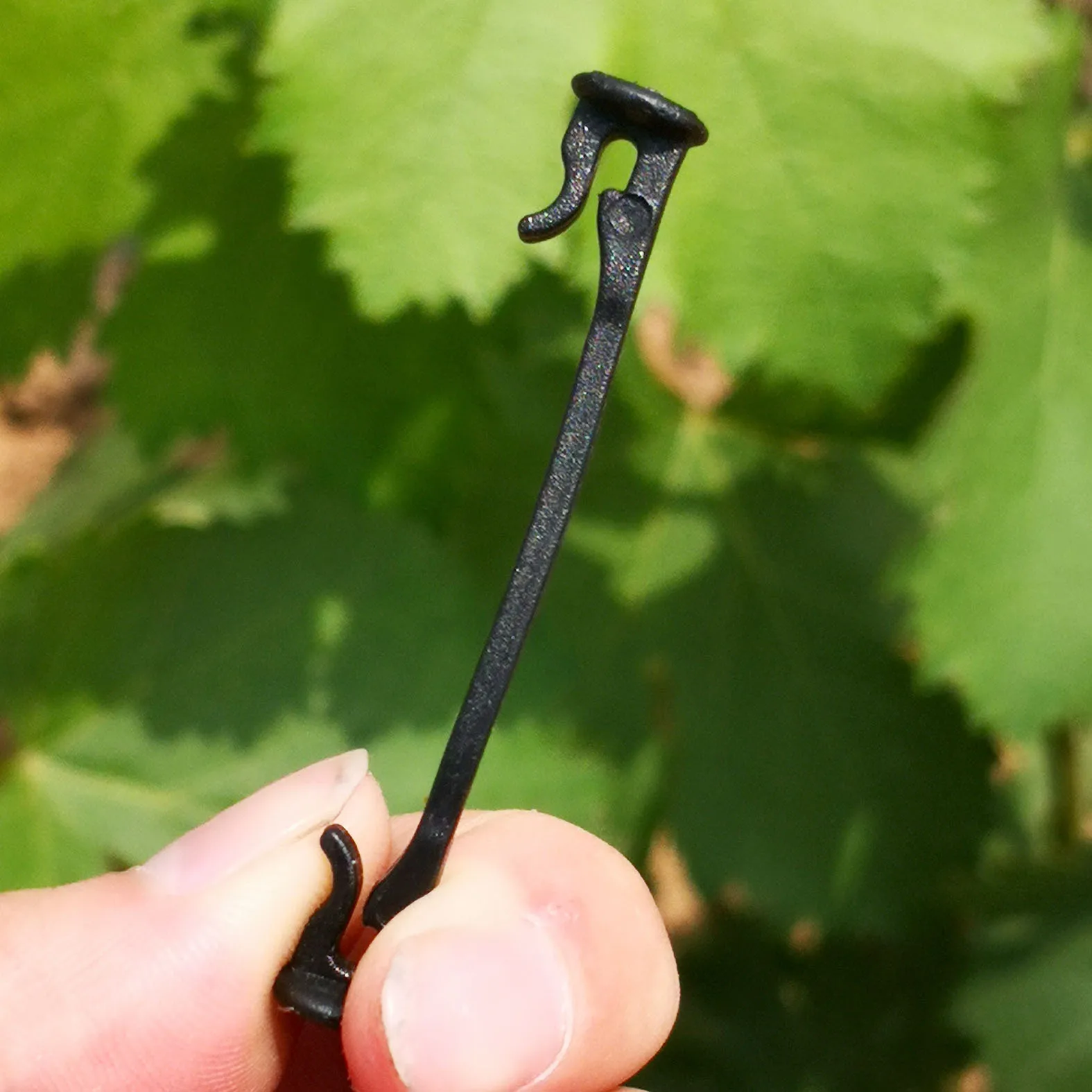 Vine Fixing Branch Binding Clip For Fixing Farm Garden Plants Fruit Trees Plastic Hook Irrigation Belt Buckle Blueberry Grape