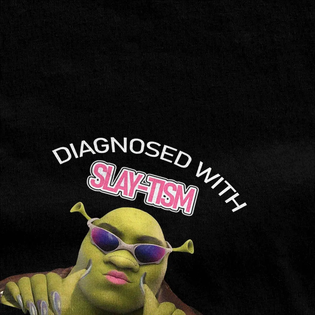 Shreks Diagnosed With Slay-tism Funny Meme Silly T Shirt Men Women 100% Cotton Vintage T-Shirt Crewneck Tee Shirt Gift Idea