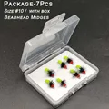 7Pcs-Box