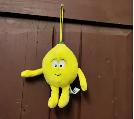 New Arrival 2025 Super Cute Fruit Plush Toy Unique Birthday Gift Soft Cuddly Fruit Shaped Toys for Kids And Fruit Lovers