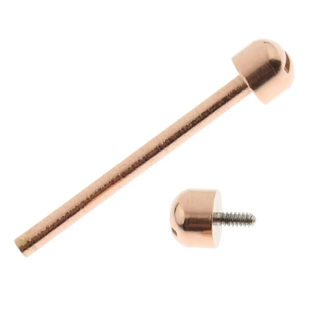 Watch Screw Tube Rose Gold Connector Watch Case Lug Link Kit Watch Band Repair Part for DIY Assembly and Upgrade