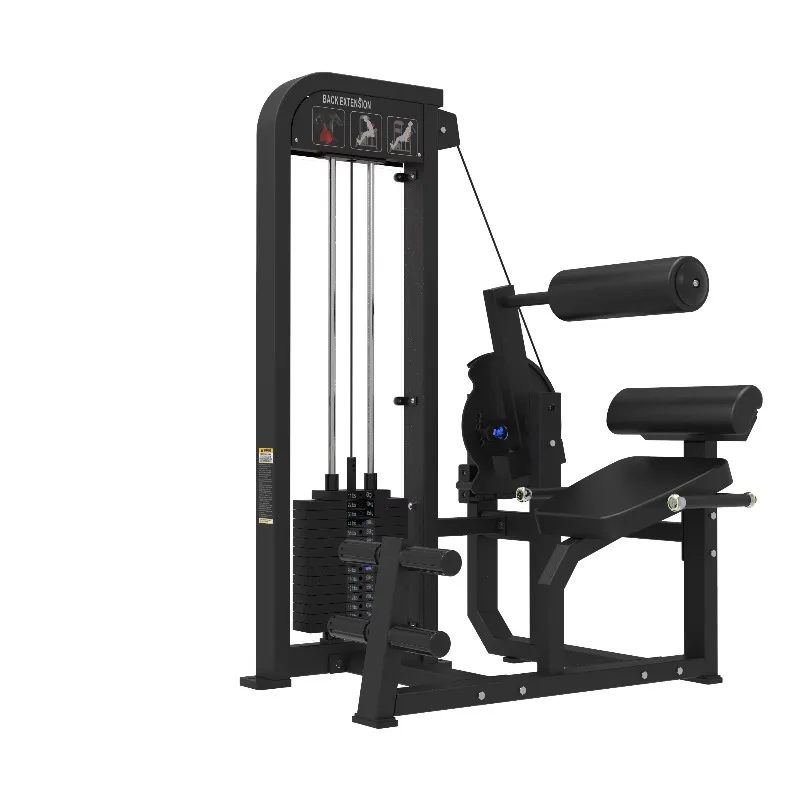 

2025 Hot Bodybuilding Functional Trainer, Pin-Loaded Back Extension, Ideal for Back Muscle Workouts