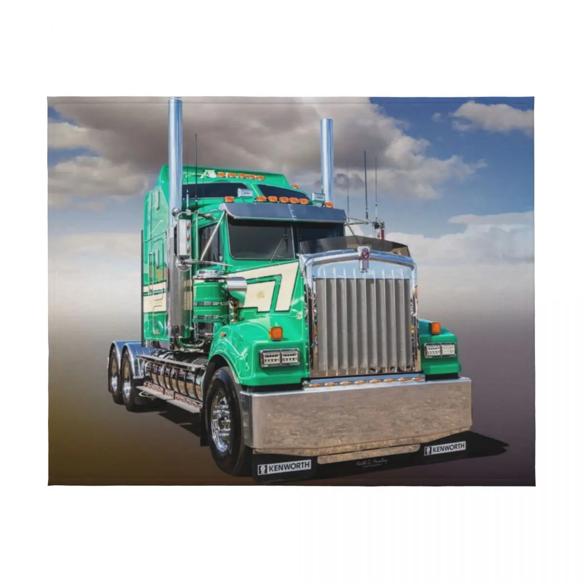 بطانية بيج كين منقوشة قيلولة مزخرفة منقوشة على بطانيات الأريكة #2