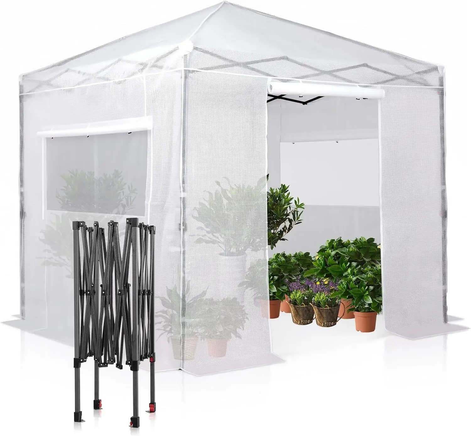 8x8 Pop-Up Greenhouse with Simple Setup, Clear and White