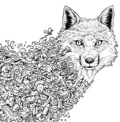 96 Pages Animorphia Coloring Book For Adults Children Develop Intelligence Relieve Stress Graffiti Painting Drawing Books