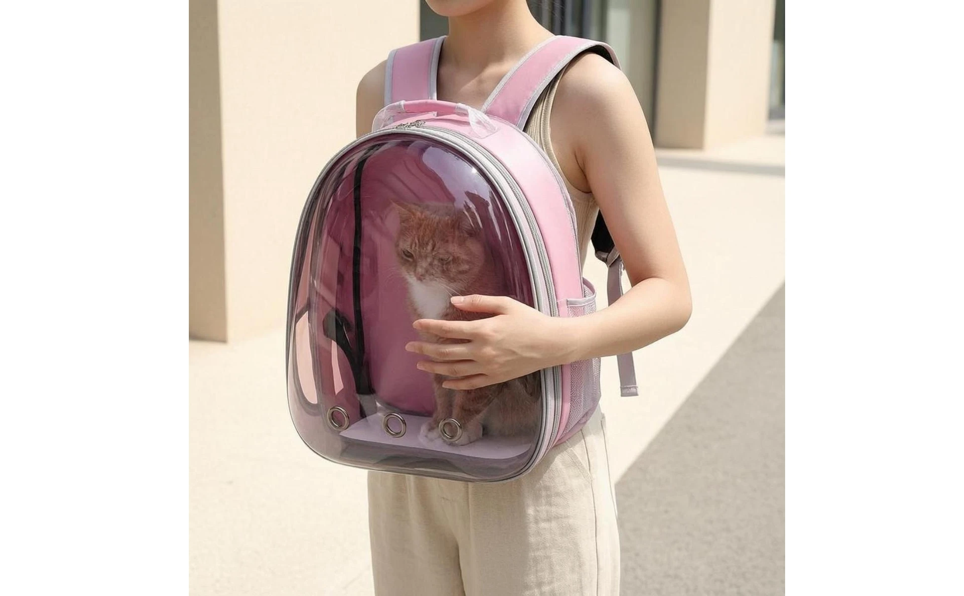 Cat Bubble Backpack Carrier Mesh Pocket Transparent Pet Carrier Backpack Ventilation Ventilated