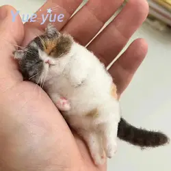 Non-Finished Cat Wool Needle Felting Kit,Wool Felt Cat, Handmade DIY Material Bag, Beginner Friendly Simulated Animal Gift