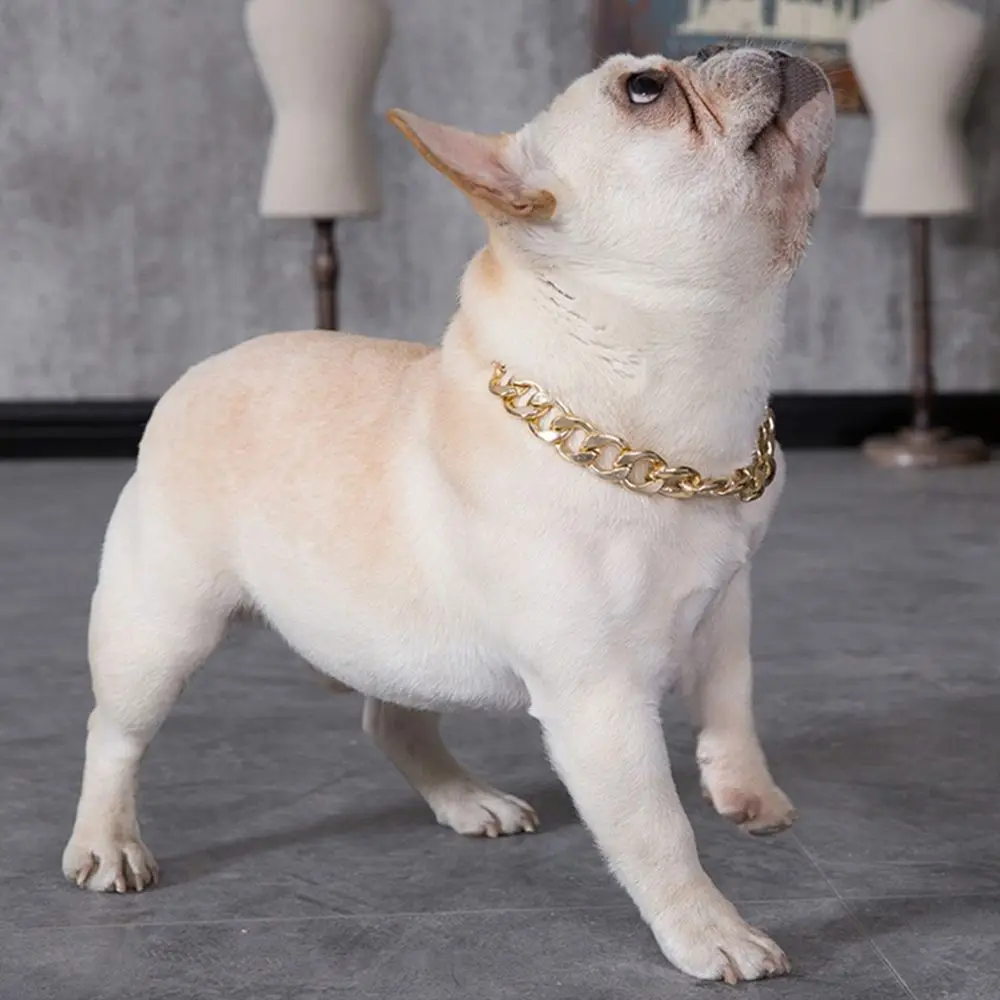 Electroplating Premium Small Dog for French Bulldog Cat Accessory Puppy Pet Chain Dog Necklace Dog Gold Chain Cat Collar