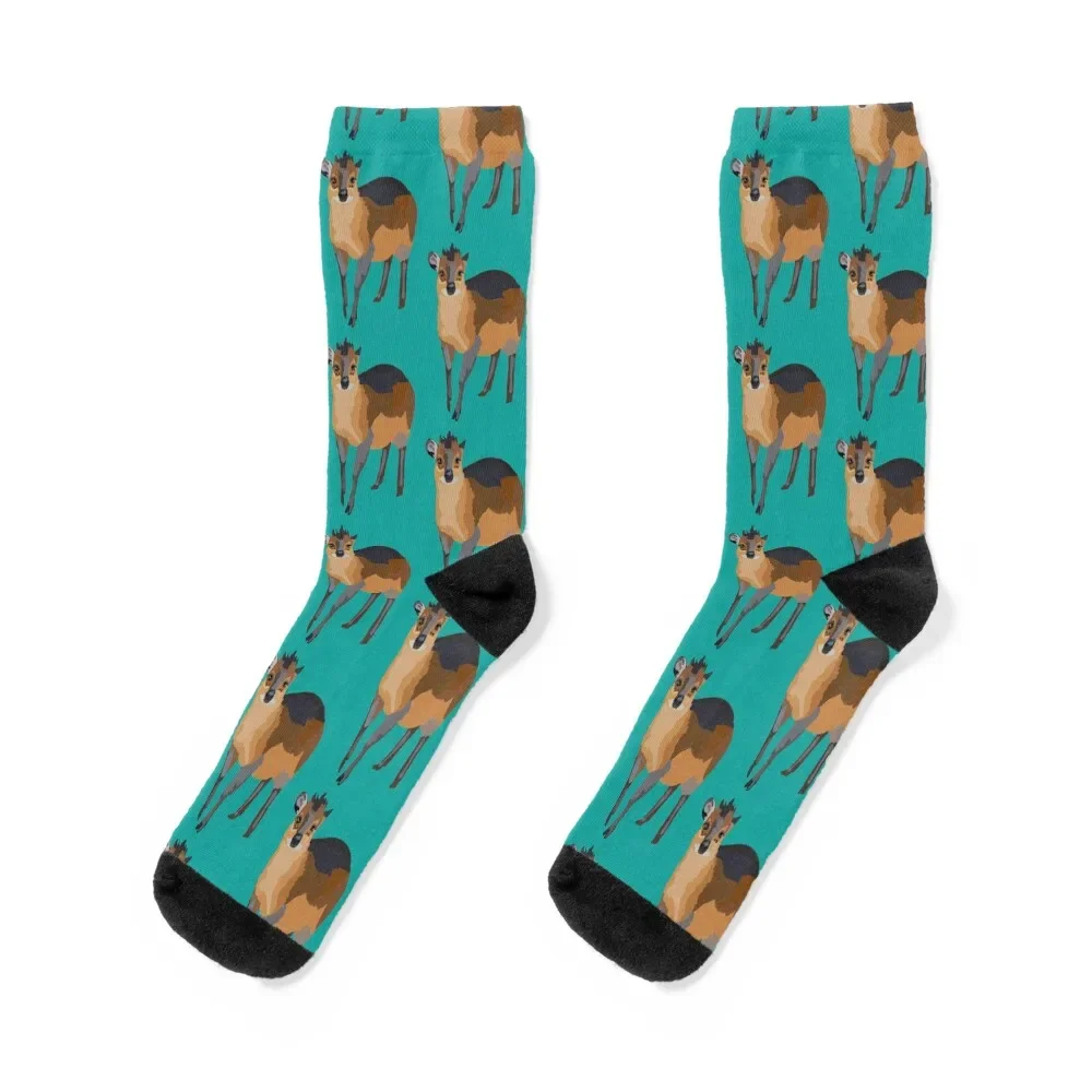 

R is for Red Flanked Duiker, Red Flanked Duiker – Small African Antelope Wildlife Illustration Socks