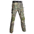 mandrake pants