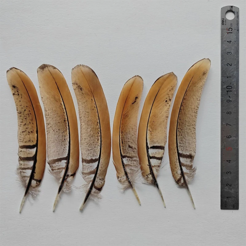 30Pcs 10-13cm Beautiful Reeves Venary Pheasant Tail Feathers, Loose Reeves Pheasant Feathers, Plumas De Avestruz
