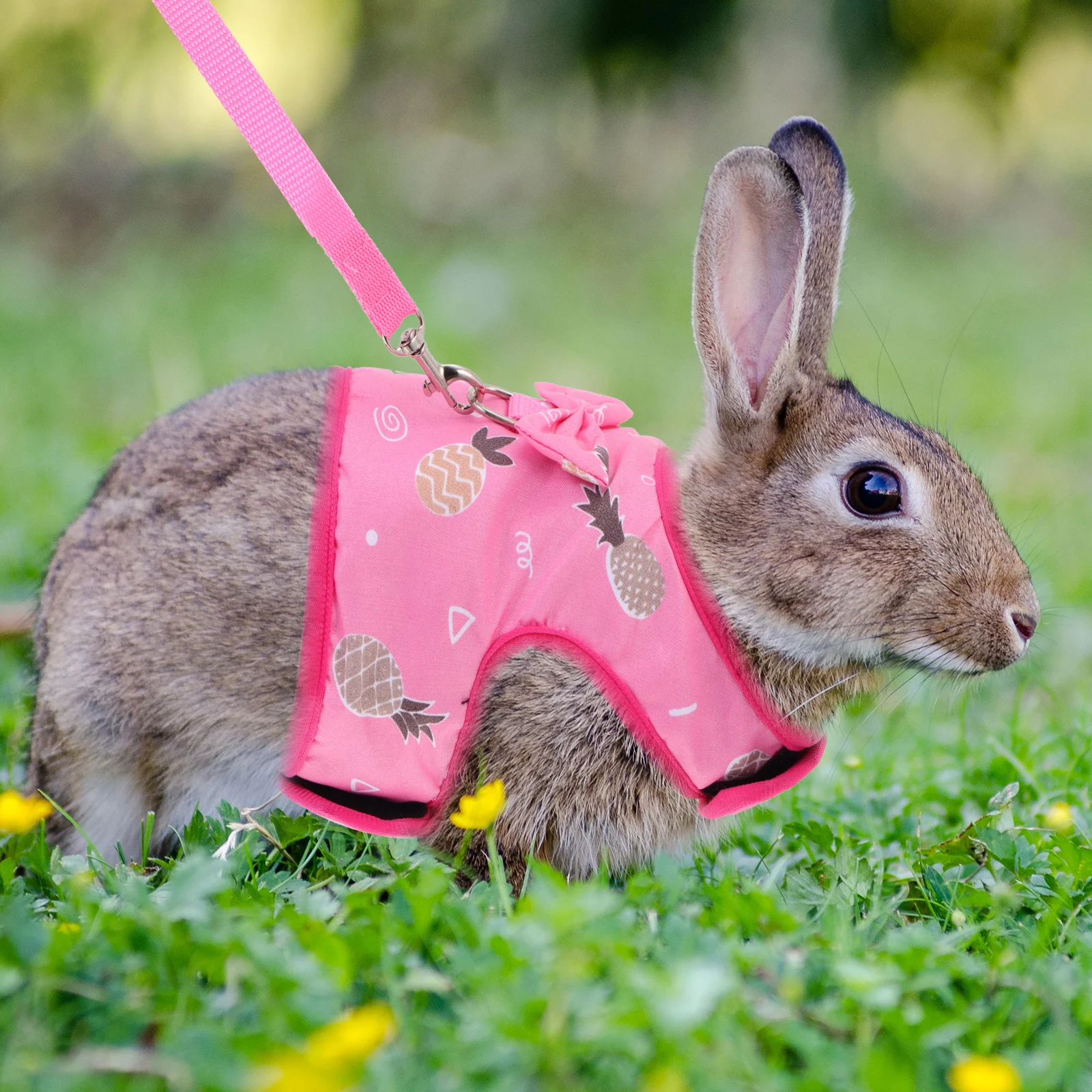 

Rabbit Bunny Outdoor Lightweight Cozy Vest Hamster Cloth Accessories Pet Rabbit Vest Harness Hamster Harness Small Pets Dog