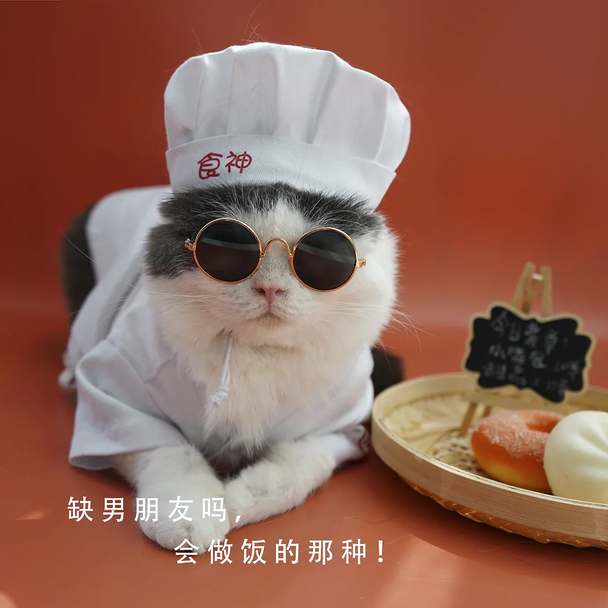 New Oriental Chef\'s Jacket With Toque Cat Costume Kitchen Coat Cat Clothes With Comfortable Fabric Dog Costume (A4814)