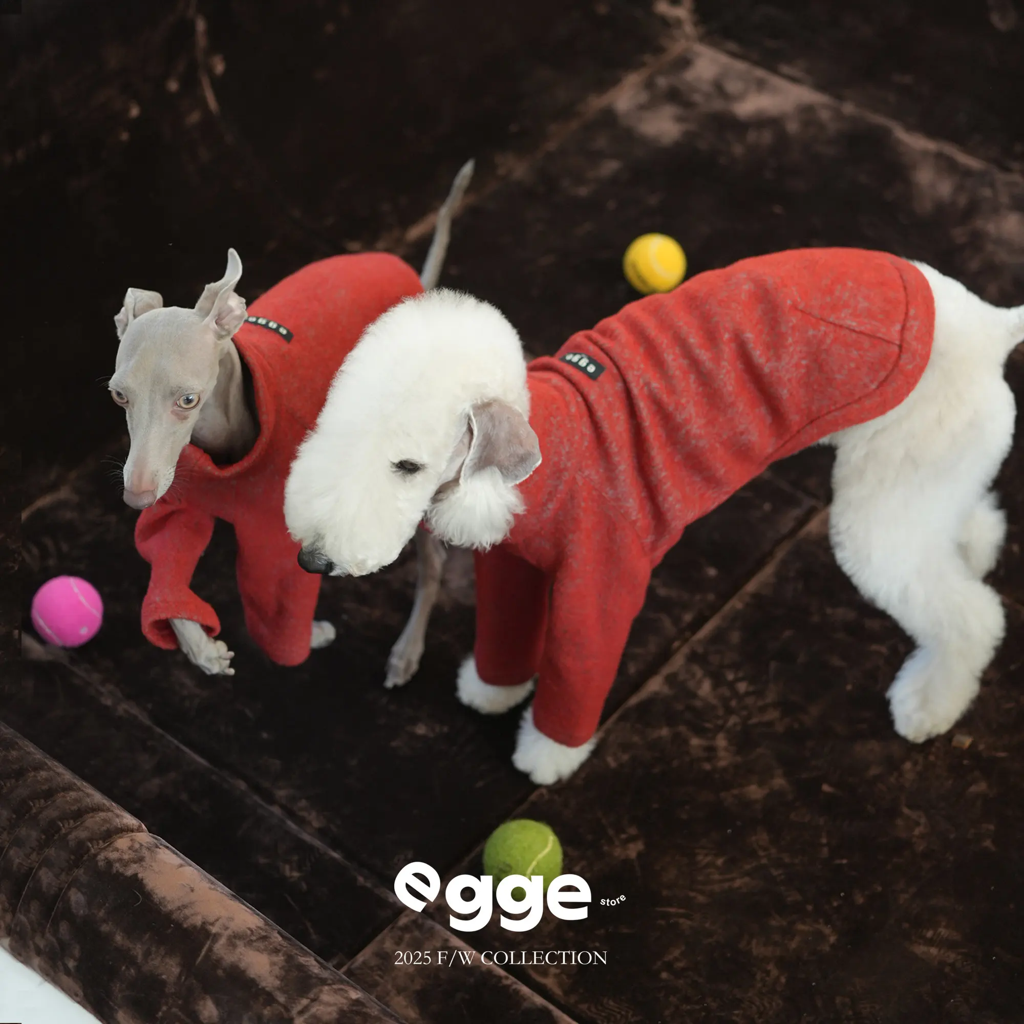 Suéter de Lana Rojo y Azul de Lujo EGGE para Galgo Italiano, Sudadera Acogedora y Moderna para Perros Bedlington en Otoño y Primavera