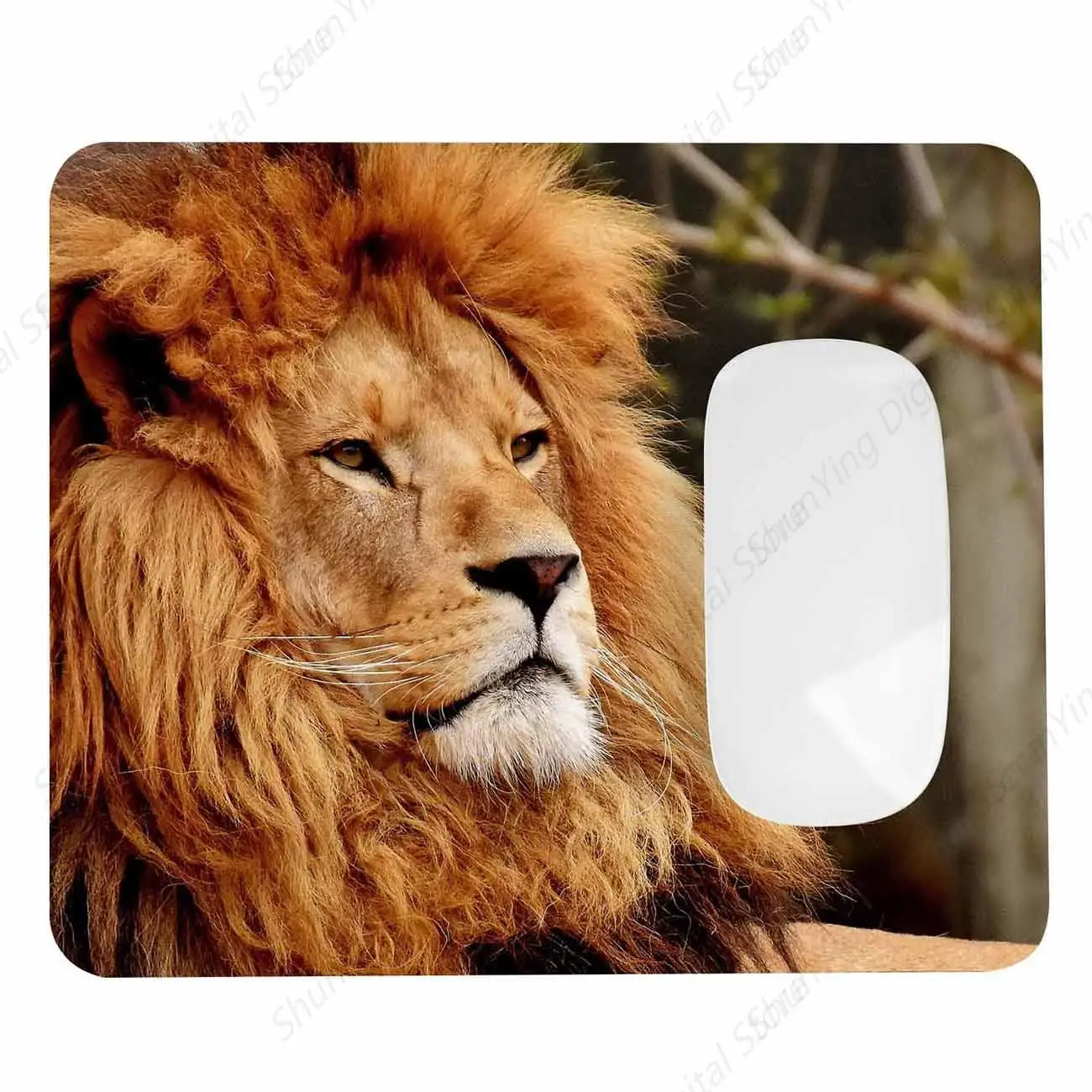 African Lion Anti Slip Rubber Mouse Pad Is Suitable For Computer Mouse Pads In Computers Laptops Games Offices And Homes