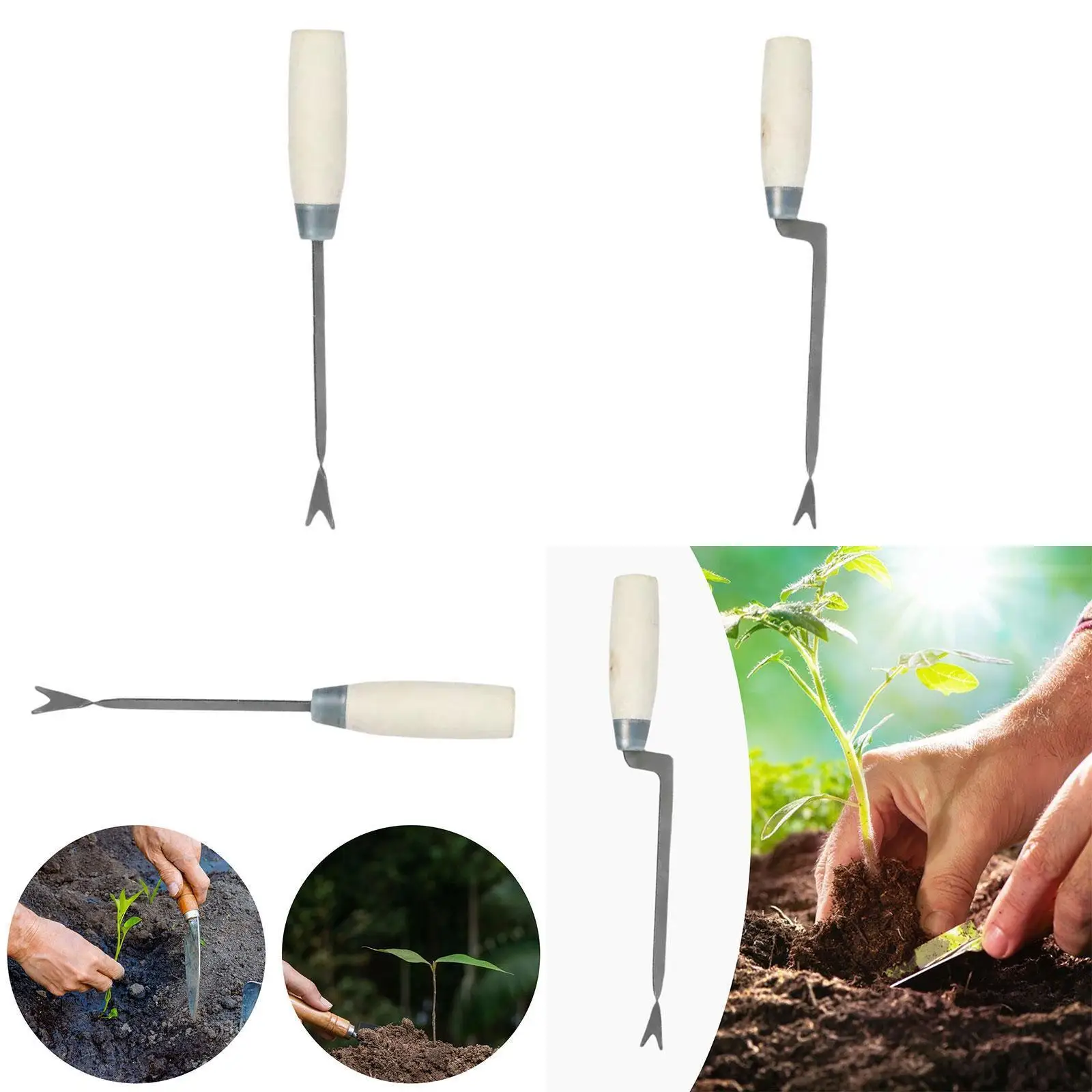 

Seedling Transplanter Planter Multipurpose Hand Planting Transplanting Tool for Sweet Potatoes Vegetable Young Plants Peppers