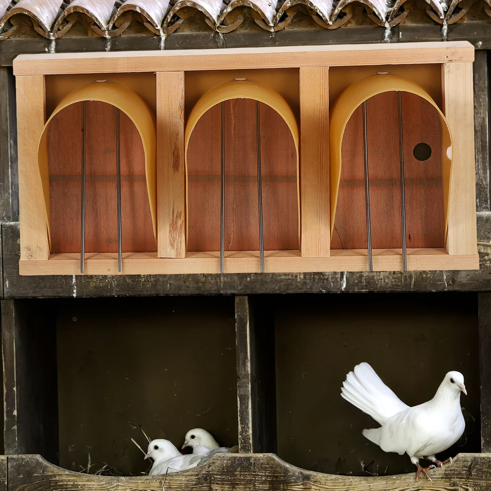 

Pigeon Cage Door European Style Bird Supplies Replacement Doors for Birdcage Accessories Dove Entrance Wood Pigeon Doors Pet