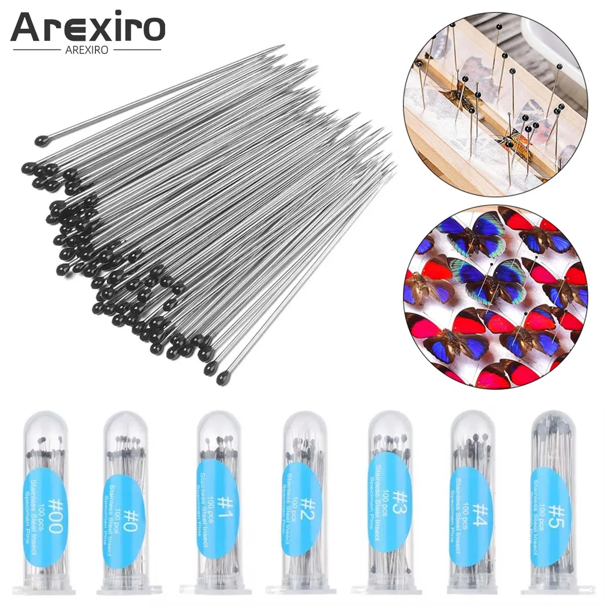 100Pcs Stainless Steel Insect Specimen Pins Entomology Dissection Needles 00#-5# for Lab School Biology Teaching Sample Mounting