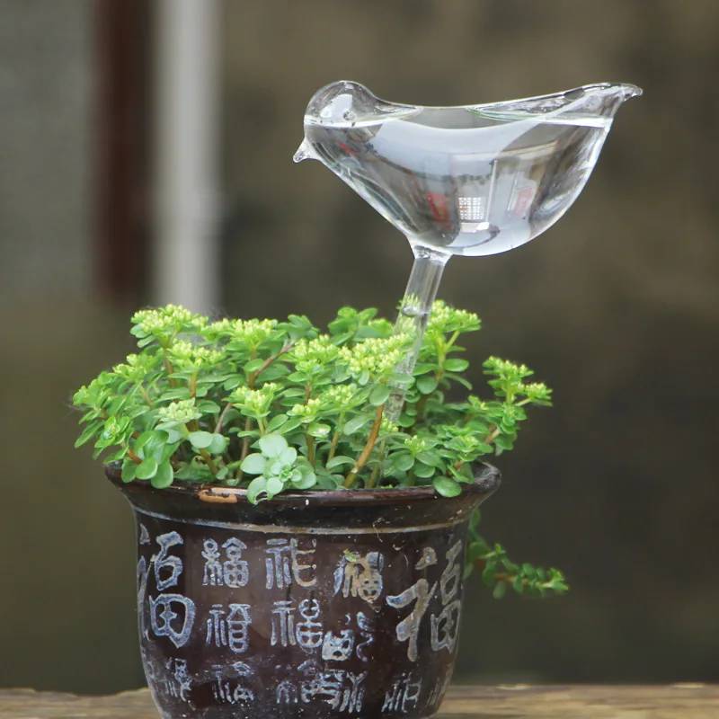 

Transparent Glass Bird Waterer Creative Lazy Man Automatic Infiltration Waterer Household Potting Supplies