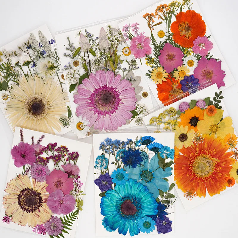 Набор сушеных цветов для смолы, набор из 22 штук для наполнения натуральными прессованными цветами, листьями, подвесками для ногтей, украшений для творчества