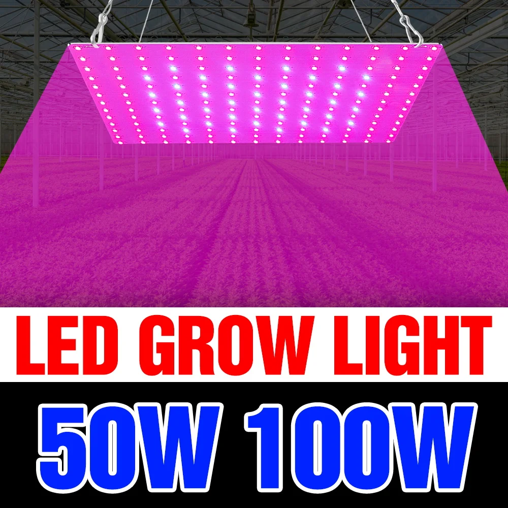 

100W Full Spectrum Plant Lamp LED Quantum Board Grow Light Greenhouse Tent Indoor Potted Vegetables Flower Cultivation Lighting