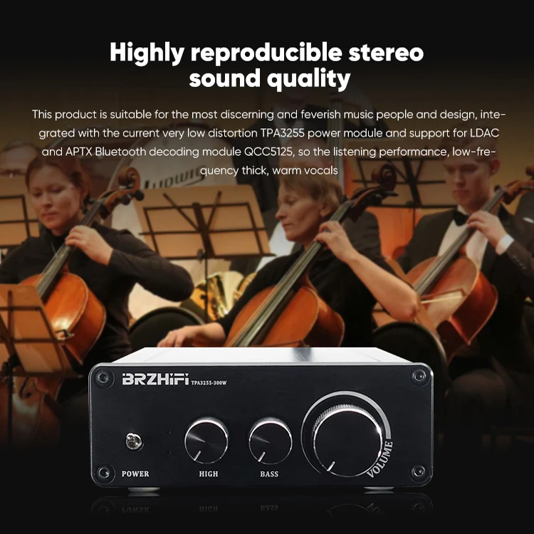 BRZHIFI Hi-end DAC TPA3255 Audiophile 300W*2 BT 5.0 LDAC APTX Stereo Audio Desktop Digital Amplifier