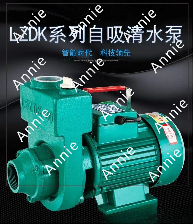 Centrifugal Pump Household Tap Water Booster Farmland Irrigation Deep Well  Intake Booster Pump Clean  and Sewage Dual-purpose
