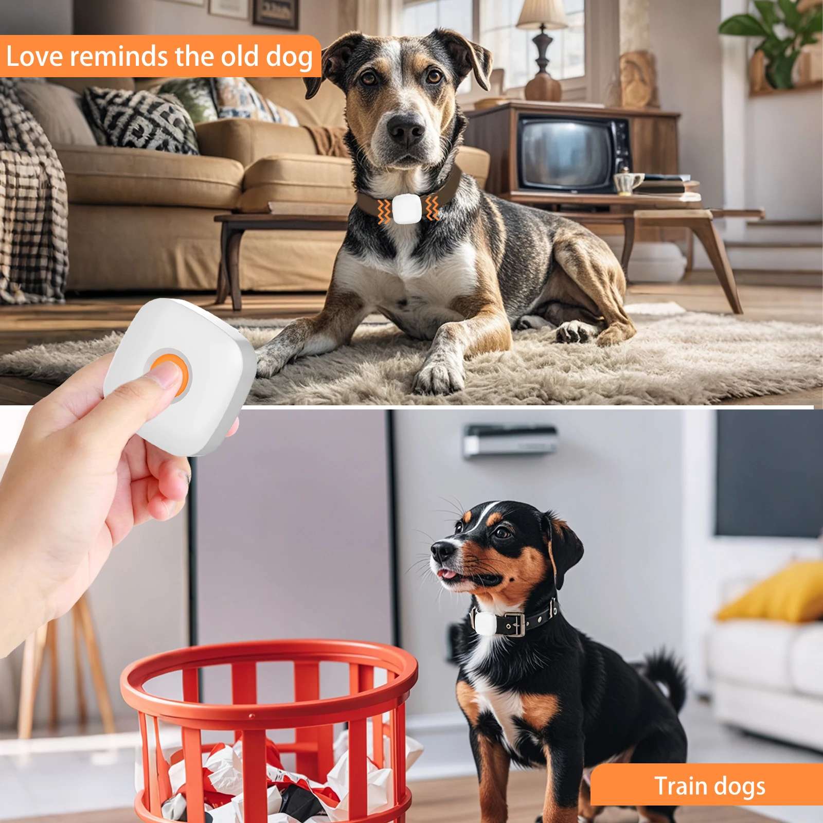Smart Vibration Collar for Small Dogs: Real-World Testing and Honest  Insights