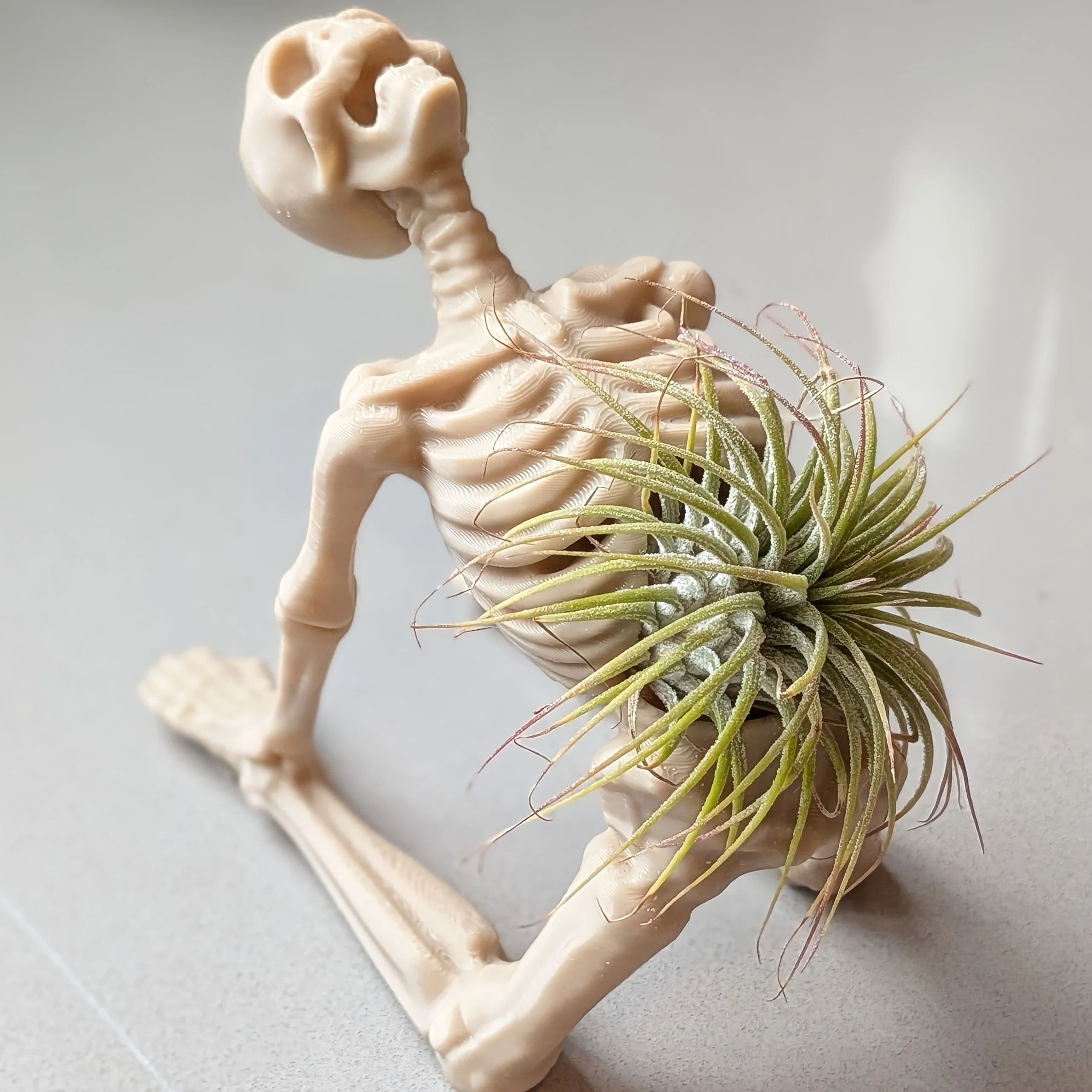 3D Baskılı Yoga İskeleti Bitki - Snake Plant Ceramic incelemesi ve fiyatı