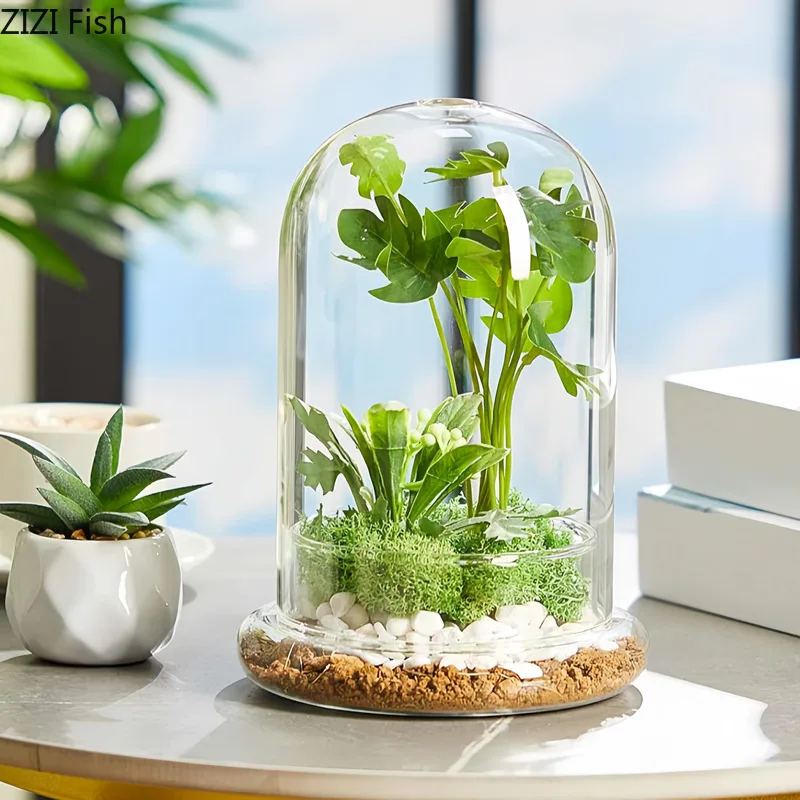 Support de Présentation en Verre pour Fleurs Éternelles, Étagère Décorative, Pot à Mousse, Micro-Paysage, Bouteille Écologique, Pot à Succulentes, Pots de Plantes