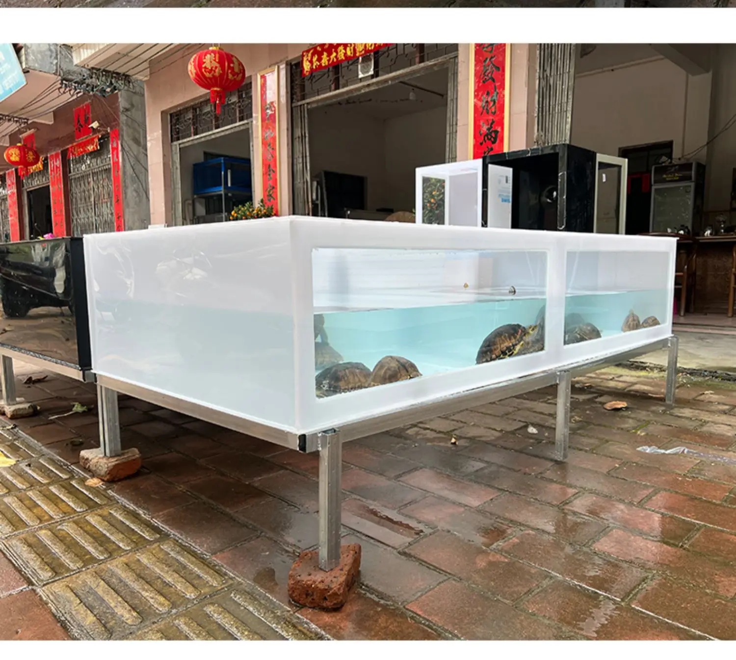 Transparent high-definition glass deepwater fish pond turtle box ecological water tank turtle breeding box