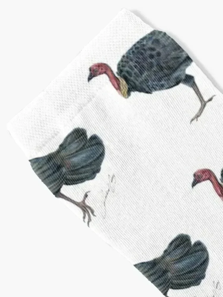 Brush Turkey Bush Turkey Noosa Bird - with artists signature Socks Argentina crazy winter Mens Socks Women's