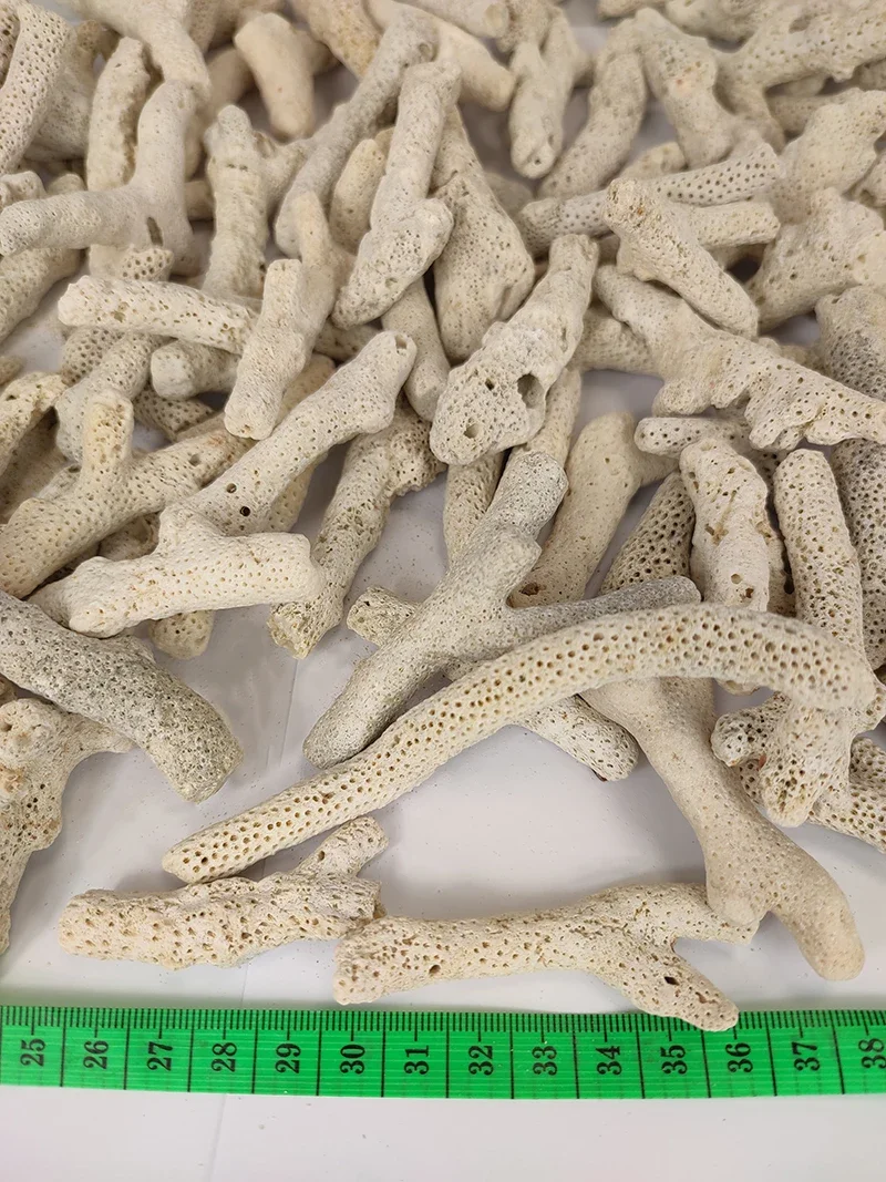 Natural Coral Bone Stone Marine Aquarium Substrate Fish Tank Filter Media