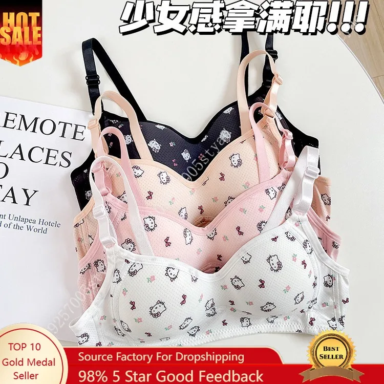 

Cute and Sweet Printed Hello Kitty Girls Underwear Push-up and Comfortable Wire-free Bra
