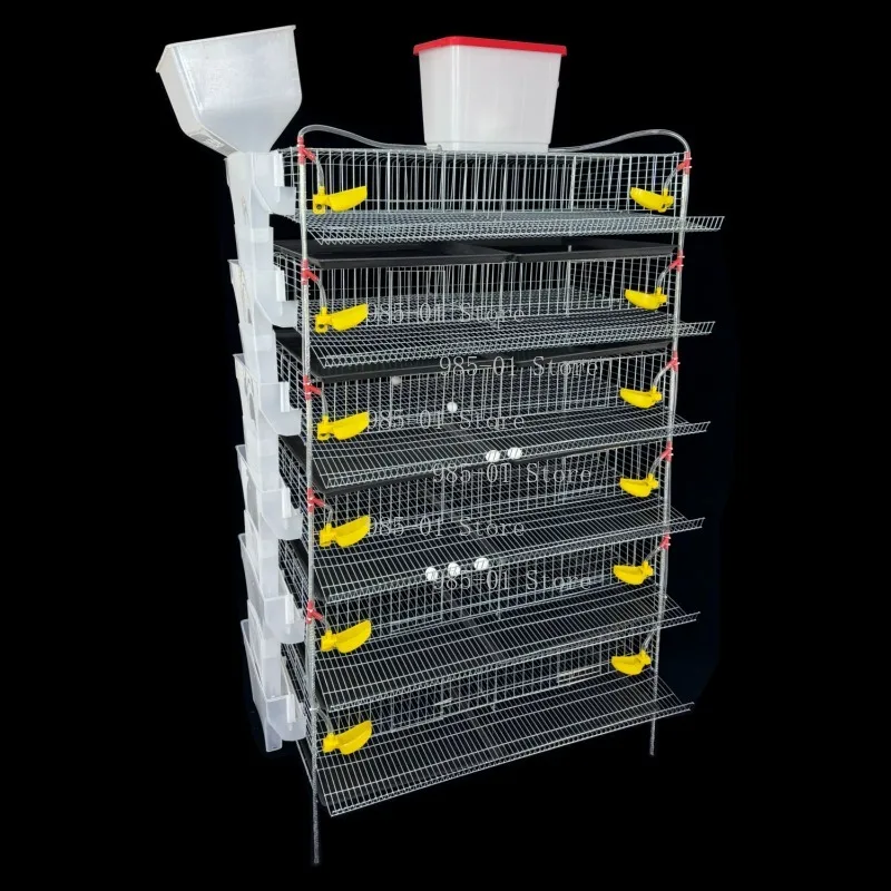 

Vertical Bird Cage for Quail Automatic Manure Removal Feeding Drinking Water Quail Egg Production Cage