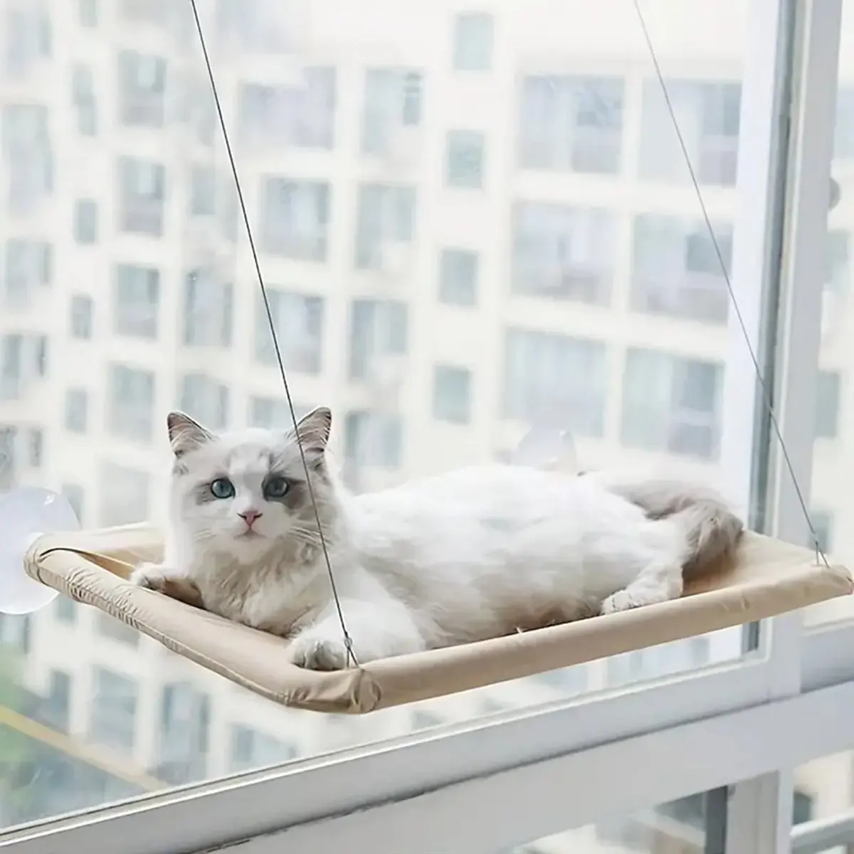 A67T NEW Ultra-Soft Cat Window Hammock Bed - Cozy Cloud-Like Perch for Feline Naptime - Securely Mounted, Perfect Space-Saving B