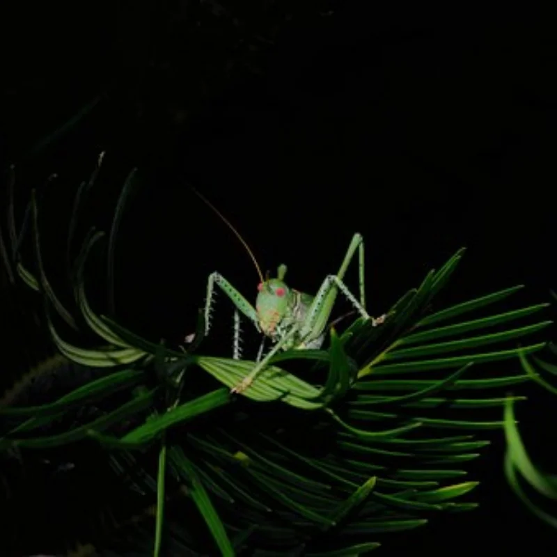 

4 шт. 132 мм 2,6 "резиновая шина для 1/8 1/10 RC гусеничного автомобиля Axial SCX10 Wraith RR10 Capra TRXS TRX4 YK4082 YK4102