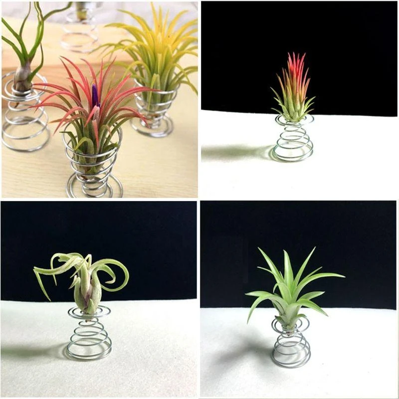 

20 PCS Stainless Steel Plant Display Racks Air Plant Stand Airplant Container Make Home for Fresh and Fashionable best sale