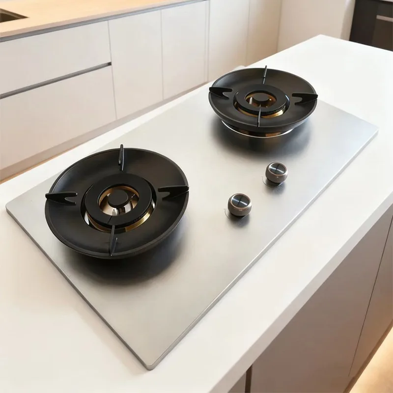 Stainless steel panel energy-gathering binocular embedded natural gas liquefied gas fire stove household European style