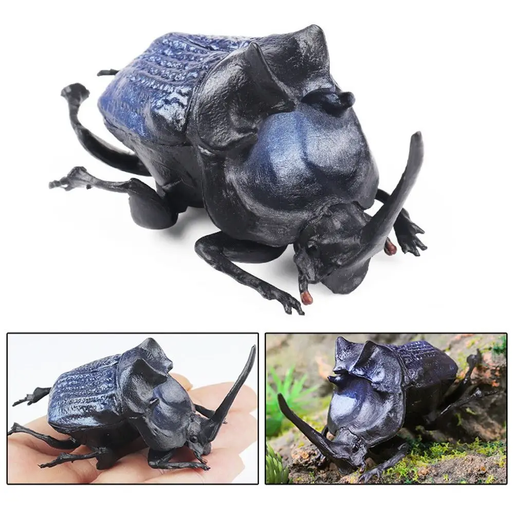 

Realistic Insect Animals Model Wild Insect Science Beetle Action Figures Education Longhornedbee Lifelike Insect Figurines