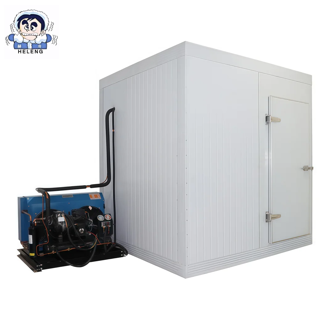 Professional Freezer Aircon for Cold Storage Industrial Deep Freezer for Frozen Food Cool Room Kit