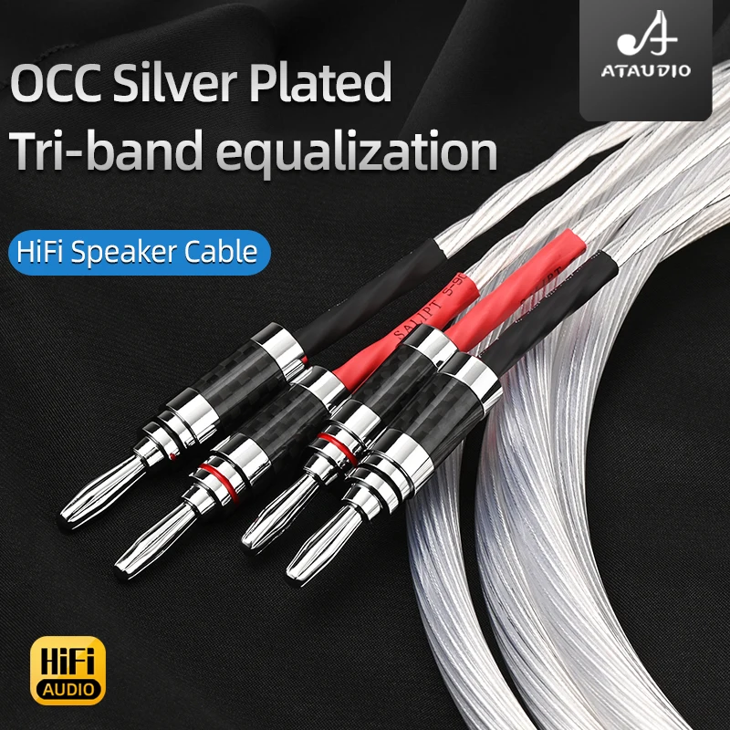 One Pair HiFi Speaker Cable High Quality 7N OCC Silver-plated Speaker Wire for Hi-Fi System Amplifier Loudspeaker Cable