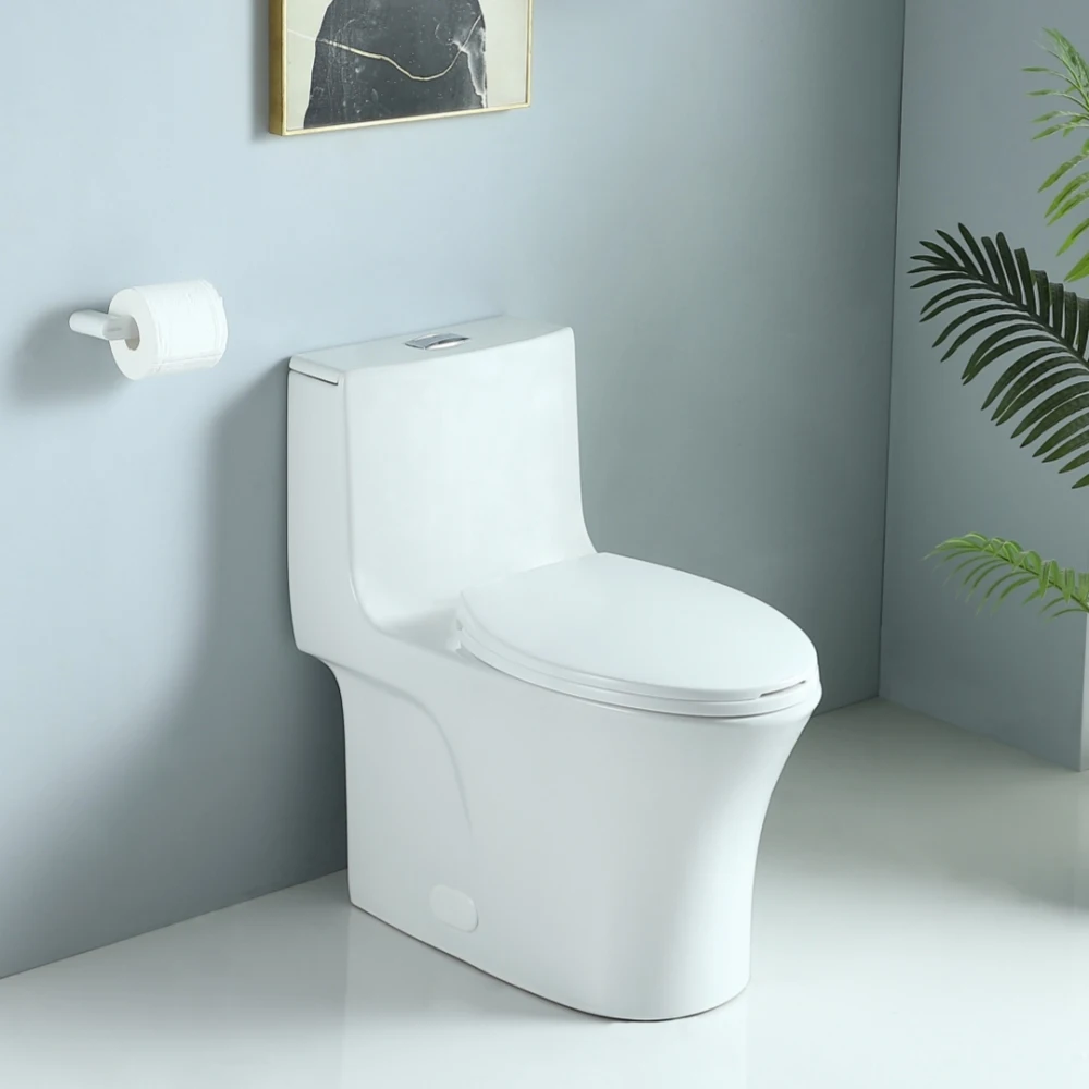 1.1/1.60 GPF Dual-Flush One Piece Toilet, Water-Saving Elongated Comfort Height Floor Mounted, Soft Closing Seat, 1000 Gram Map Flushing Score Toilet, Glossy White GF-24T02-GW