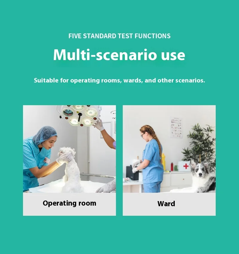 Reliable Pet  Concentrator User-Friendly Veterinary Instrument